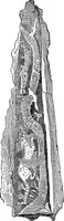 Picture 14 of 155 from Ancient Greece; a sketch of its art, literature & philosophy viewed in connexion with its external history from earliest times to the age of Alexander the Great (1913), leaf 63