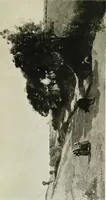 An illustration from A wanderer in Paris (1921)