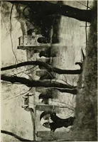 An illustration from A wanderer in Paris (1921)