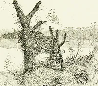 An illustration from Ravenna, a study (1913)