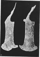 An illustration from Carthage of the Phoenicians in the light of modern excavation (1905)