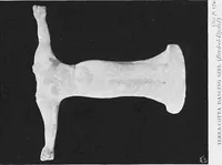 Picture 28 of 29 from Carthage of the Phoenicians in the light of modern excavation (1905), leaf 212