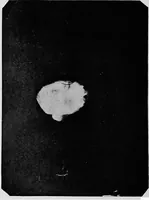 An illustration from The widow's mite and other psychic phenomena (1904)