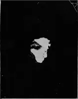 An illustration from The widow's mite and other psychic phenomena (1904)