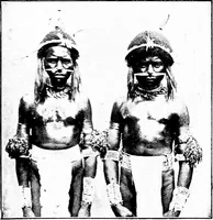 An illustration from Spiritualism among civilised and savage races; a study in anthropology (1921)