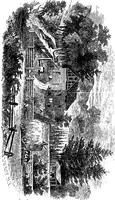 Picture 2 of 10 from The magic staff; an autobiography of Andrew Jackson Davis .. (1867), leaf 36