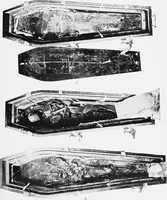 Picture 21 of 39 from The mortal remains of Emanuel Swedenborg; an account of the historical and anatomical investigations executed by a committee, appointed on May 27th, 1908 (1910), leaf 110