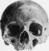An illustration from The mortal remains of Emanuel Swedenborg; an account of the historical and anatomical investigations executed by a committee, appointed on May 27th, 1908 (1910)