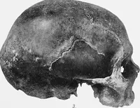 An illustration from The mortal remains of Emanuel Swedenborg; an account of the historical and anatomical investigations executed by a committee, appointed on May 27th, 1908 (1910)
