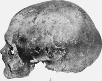 An illustration from The mortal remains of Emanuel Swedenborg; an account of the historical and anatomical investigations executed by a committee, appointed on May 27th, 1908 (1910)