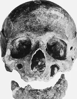 An illustration from The mortal remains of Emanuel Swedenborg; an account of the historical and anatomical investigations executed by a committee, appointed on May 27th, 1908 (1910)
