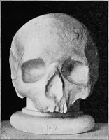 An illustration from The mortal remains of Emanuel Swedenborg; an account of the historical and anatomical investigations executed by a committee, appointed on May 27th, 1908 (1910)