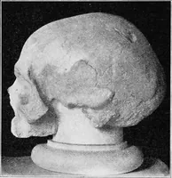 An illustration from The mortal remains of Emanuel Swedenborg; an account of the historical and anatomical investigations executed by a committee, appointed on May 27th, 1908 (1910)