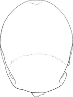 An illustration from The mortal remains of Emanuel Swedenborg; an account of the historical and anatomical investigations executed by a committee, appointed on May 27th, 1908 (1910)