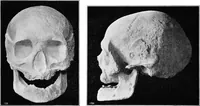An illustration from The mortal remains of Emanuel Swedenborg; an account of the historical and anatomical investigations executed by a committee, appointed on May 27th, 1908 (1910)