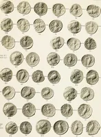 An illustration from The temple coins of Olympia : reprinted from "Nomisma" VIII.IX.XI (1921)