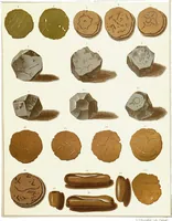 An illustration from The American numismatical manual of the currency or money of the aborigines, and colonial, state, and United States coins. With historical and descriptive notices of each coin or series (1859)
