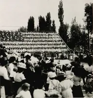 Picture 80 of 98 from Flags of the world (1917), leaf 135