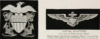 An illustration from Flags of the world (1917)