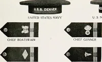 Picture 91 of 98 from Flags of the world (1917), leaf 144