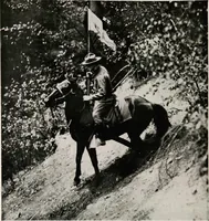 Picture 11 of 98 from Flags of the world (1917), leaf 25