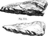 Picture 66 of 82 from The past in the present: what is civilisation? (1880), leaf 162