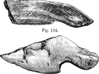 Picture 73 of 82 from The past in the present: what is civilisation? (1880), leaf 165