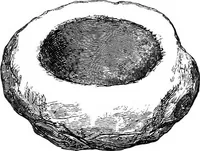 Picture 19 of 82 from The past in the present: what is civilisation? (1880), leaf 67