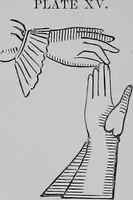 Picture 30 of 36 from The history of signboards : from the earliest times to the present day (1866), leaf 416