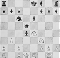 An illustration from The chess-players' manual : containing the laws of the game according to the revised code laid down by the British Chess Association in 1862 (1902)