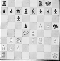 Picture 24 of 83 from The chess-players' manual : containing the laws of the game according to the revised code laid down by the British Chess Association in 1862 (1902), leaf 175