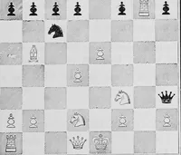Picture 29 of 83 from The chess-players' manual : containing the laws of the game according to the revised code laid down by the British Chess Association in 1862 (1902), leaf 194