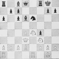Picture 32 of 83 from The chess-players' manual : containing the laws of the game according to the revised code laid down by the British Chess Association in 1862 (1902), leaf 231