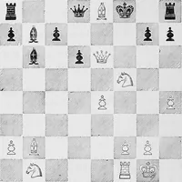 Picture 44 of 83 from The chess-players' manual : containing the laws of the game according to the revised code laid down by the British Chess Association in 1862 (1902), leaf 341