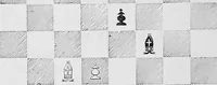 Picture 73 of 83 from The chess-players' manual : containing the laws of the game according to the revised code laid down by the British Chess Association in 1862 (1902), leaf 801