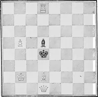 An illustration from The chess-players' manual : containing the laws of the game according to the revised code laid down by the British Chess Association in 1862 (1902)