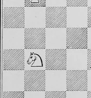 An illustration from Chess gems: Some of the finest examples of chess strategy, by ancient and modern masters (1878)