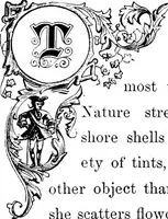 Picture 2 of 45 from Select historical costumes (1868), leaf 8