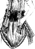 An illustration from How to make paper costumes (1922)