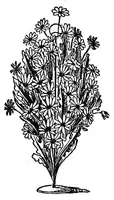 An illustration from Stage illusions (1912)