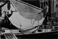 An illustration from The track of the "typhoon" (1921)