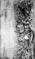 Picture 81 of 178 from A concise history of freemasonry (1904), leaf 227
