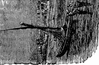 Picture 104 of 178 from A concise history of freemasonry (1904), leaf 320