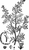 Picture 106 of 178 from A concise history of freemasonry (1904), leaf 325
