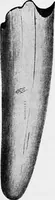 Picture 25 of 29 from Art and man; comparative art studies (1918), leaf 186