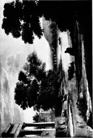 Picture 30 of 45 from Vision and design (1920), leaf 186