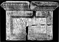 Picture 106 of 125 from Monvmental Dalmatia; (1917), leaf 163