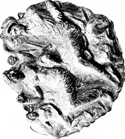 Picture 52 of 56 from Marbles and bronzes; fifty plates from selected subjects in the Department of Greek and Roman Antiquities (1914), leaf 102