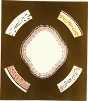 An illustration from A history and description of English earthenware and stoneware (to the beginning of the 19th century) (1904)