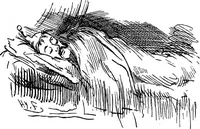Picture 14 of 279 from M.P.'s in session, from Mr. Punch's parliamentary portrait gallery (1889), leaf 13